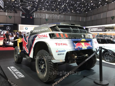 Peugeot 3008 DKR_3.JPG