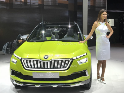 Skoda vision X (2).JPG