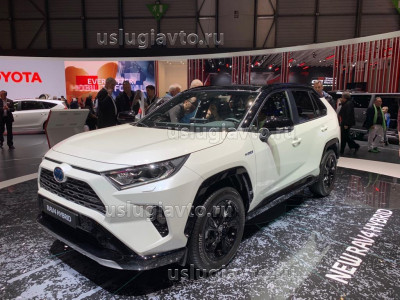 RAV 4_.jpg