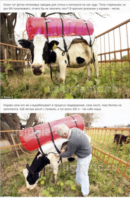 переоборудование коровы.png (1.15 Мб) Просмотров: 62823 переоборудование коровы.png