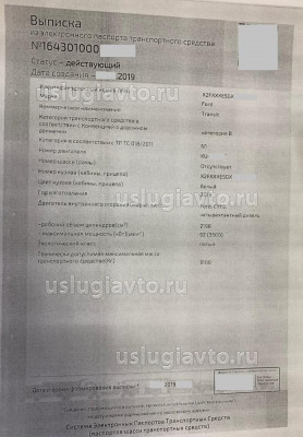 Выписка из системы электронного паспорта.jpeg